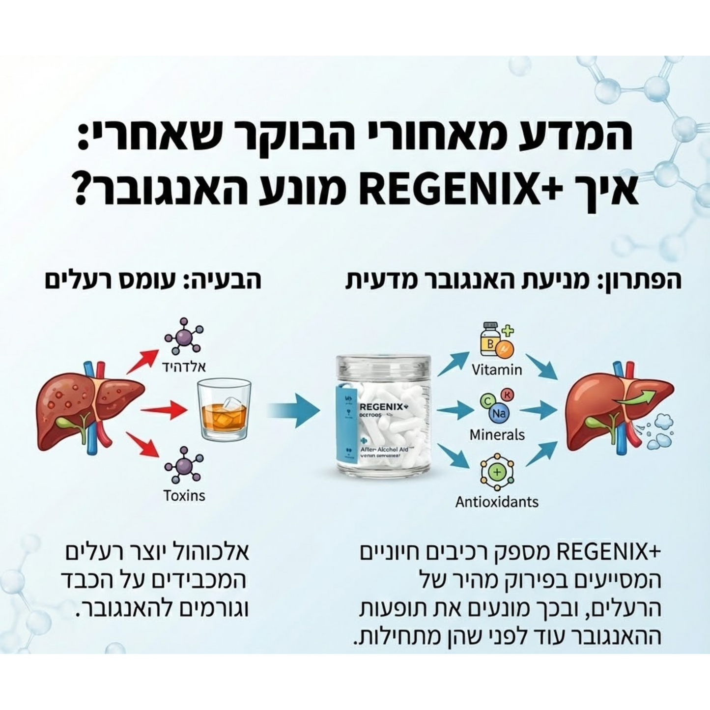 REGENIX – תמיכה בהתאוששות הגוף ביום שאחרי
